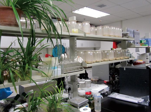 建立专业虫害防治实验室